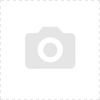 Bridgestone Blizzak DM-V2 255/55 R18 109Y